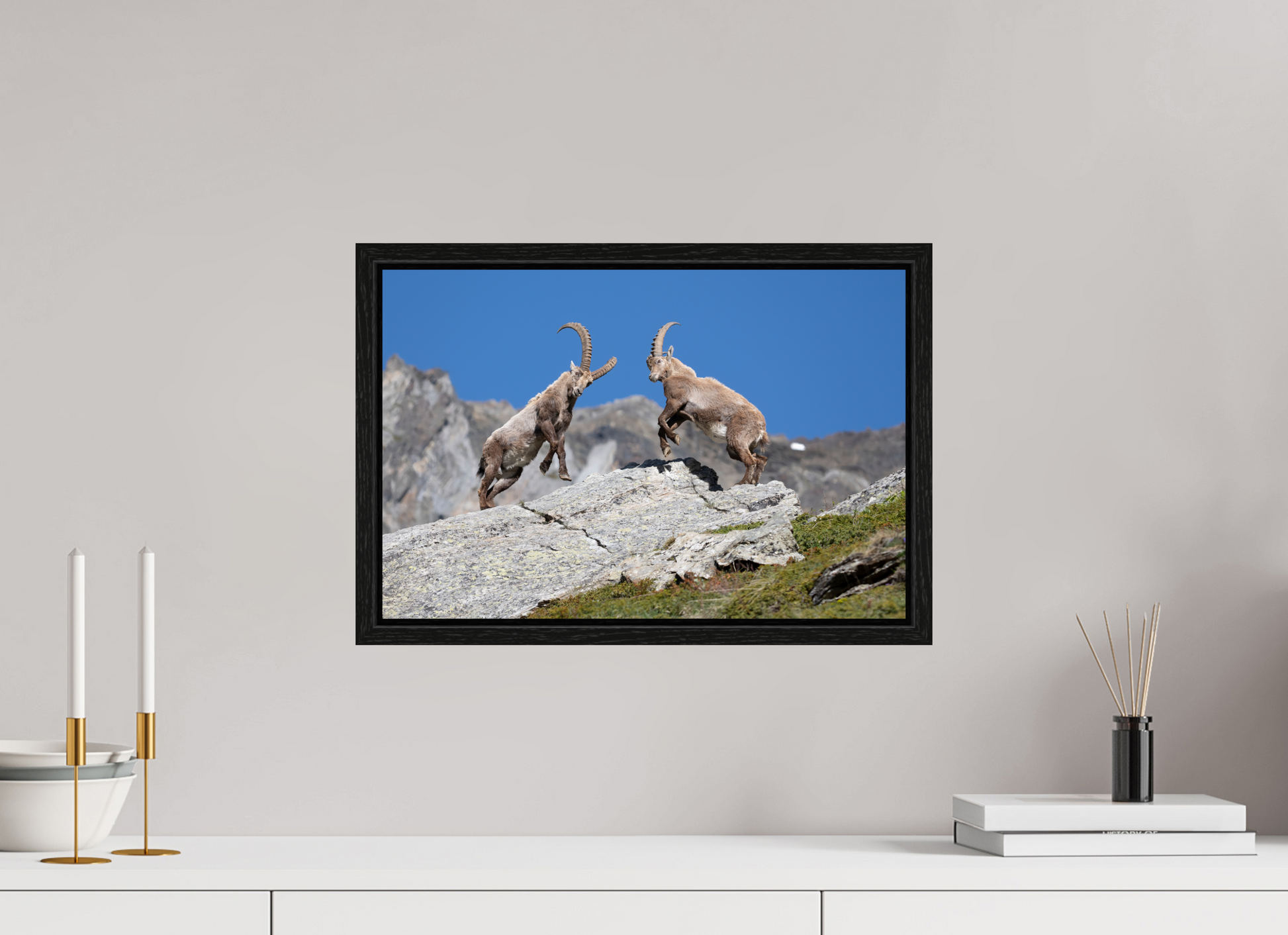 45 x 30 cm, Floater Frame Bouquetin / Ibex