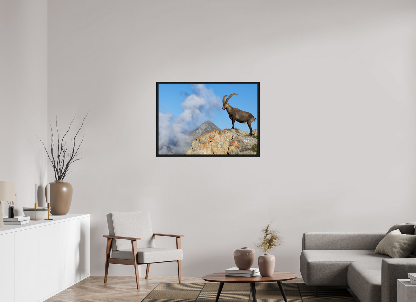 Bouquetin / Ibex