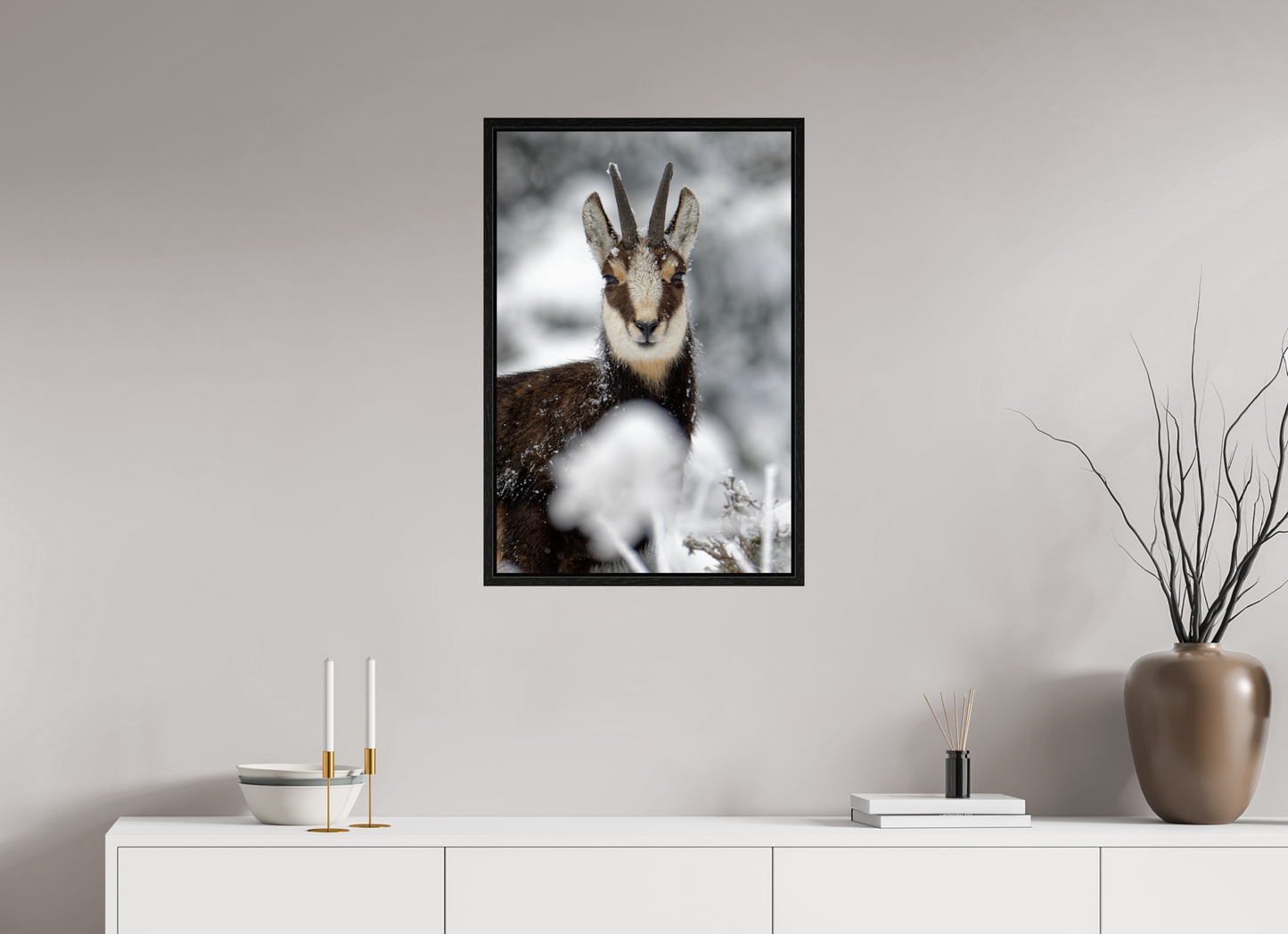 Chamois