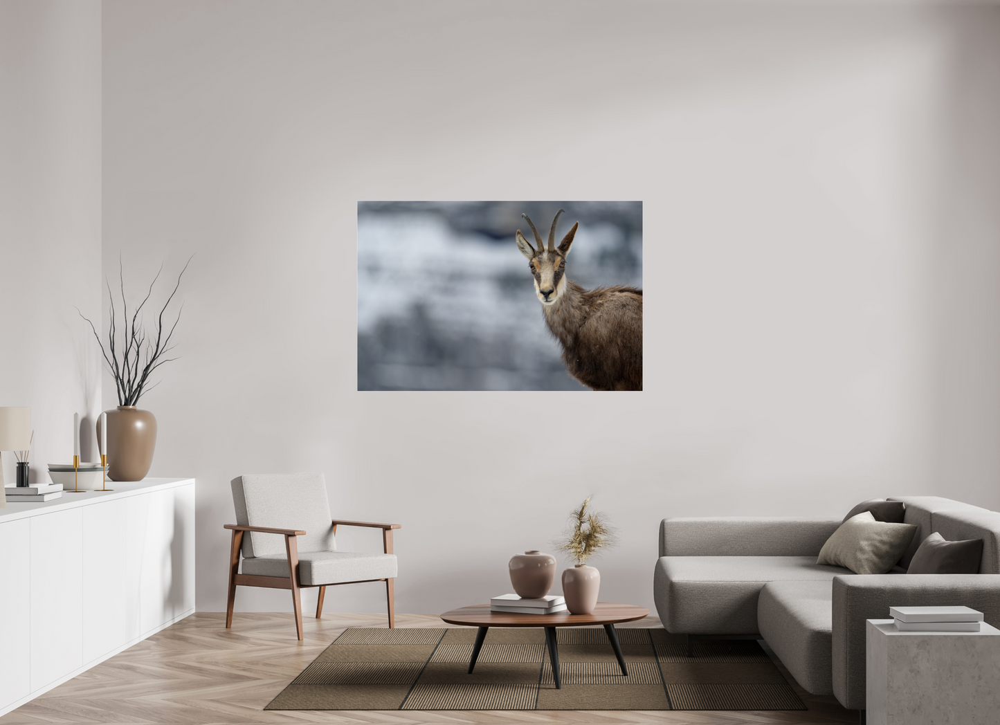 Chamois