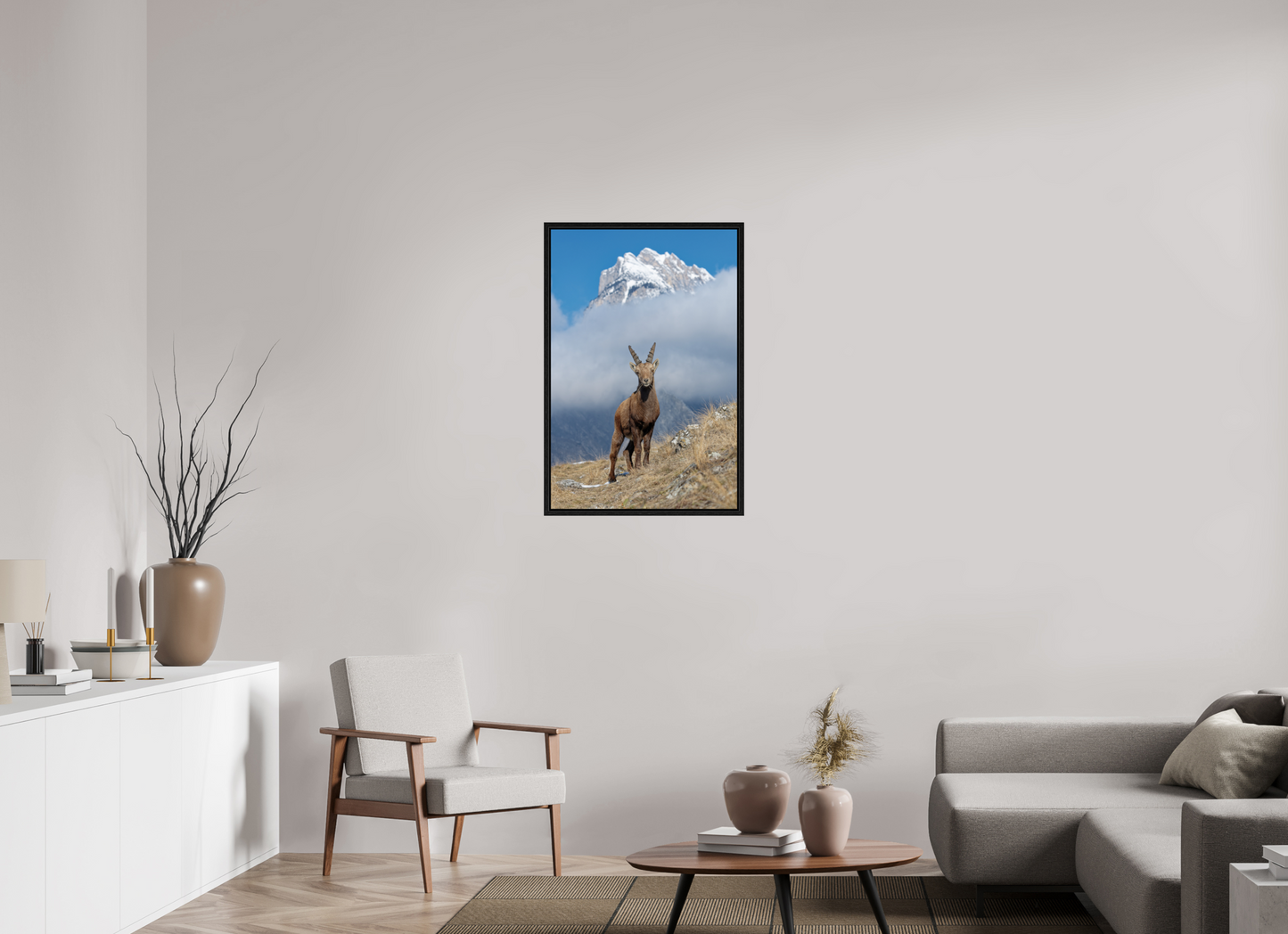 Bouquetin / Ibex