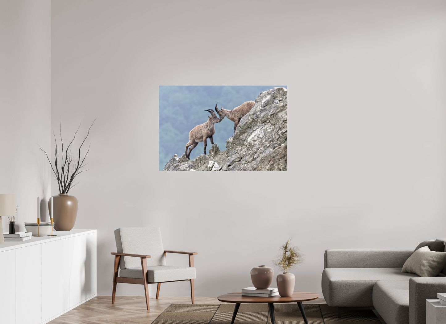 Bouquetin / Ibex