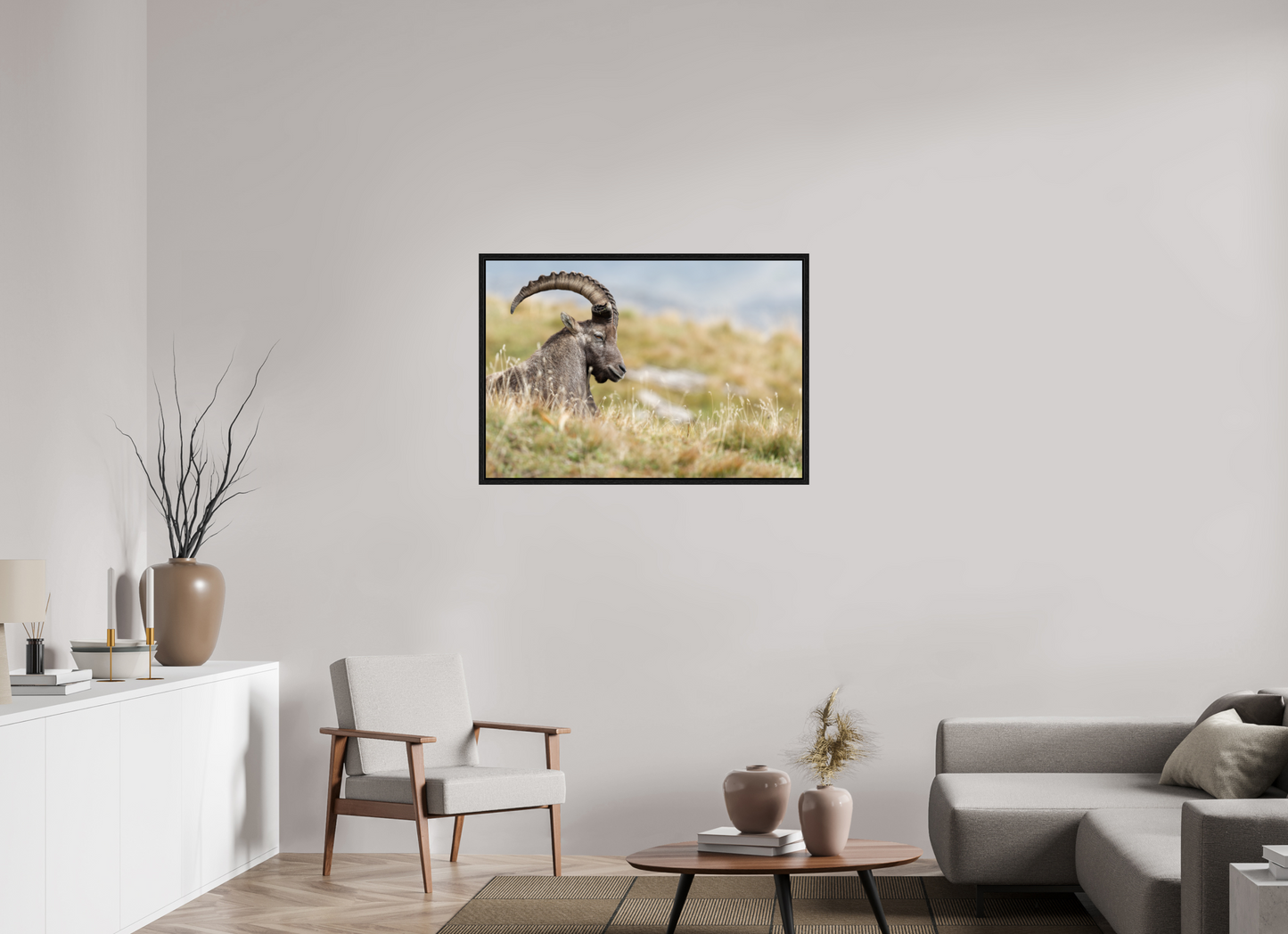 Bouquetin / Ibex