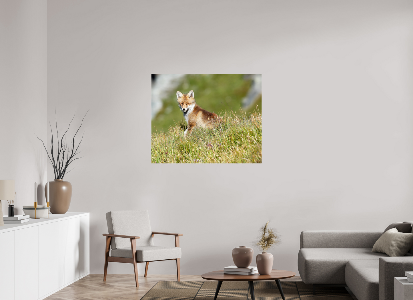 Autres animaux / Other animals