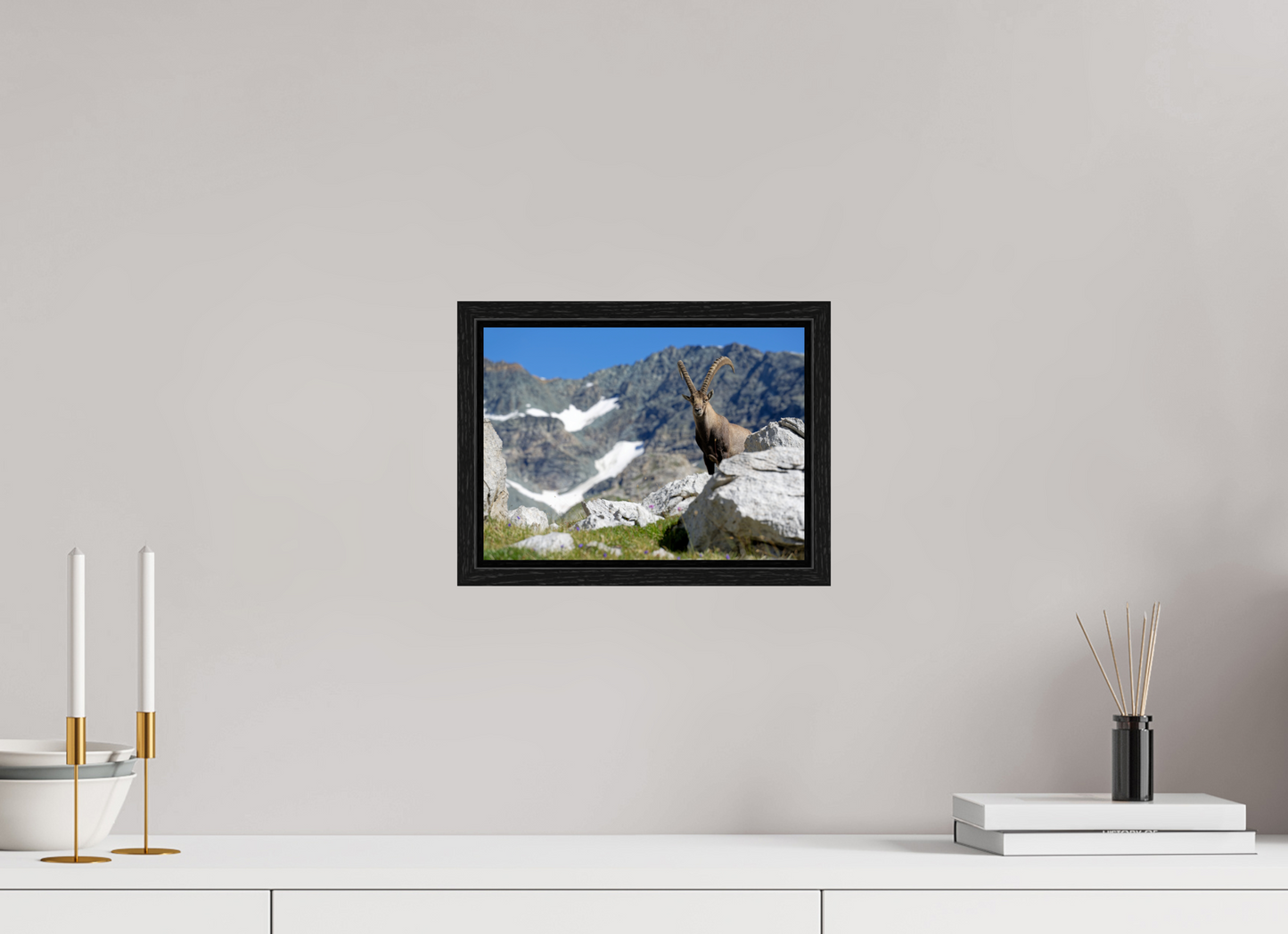 Bouquetin / Ibex
