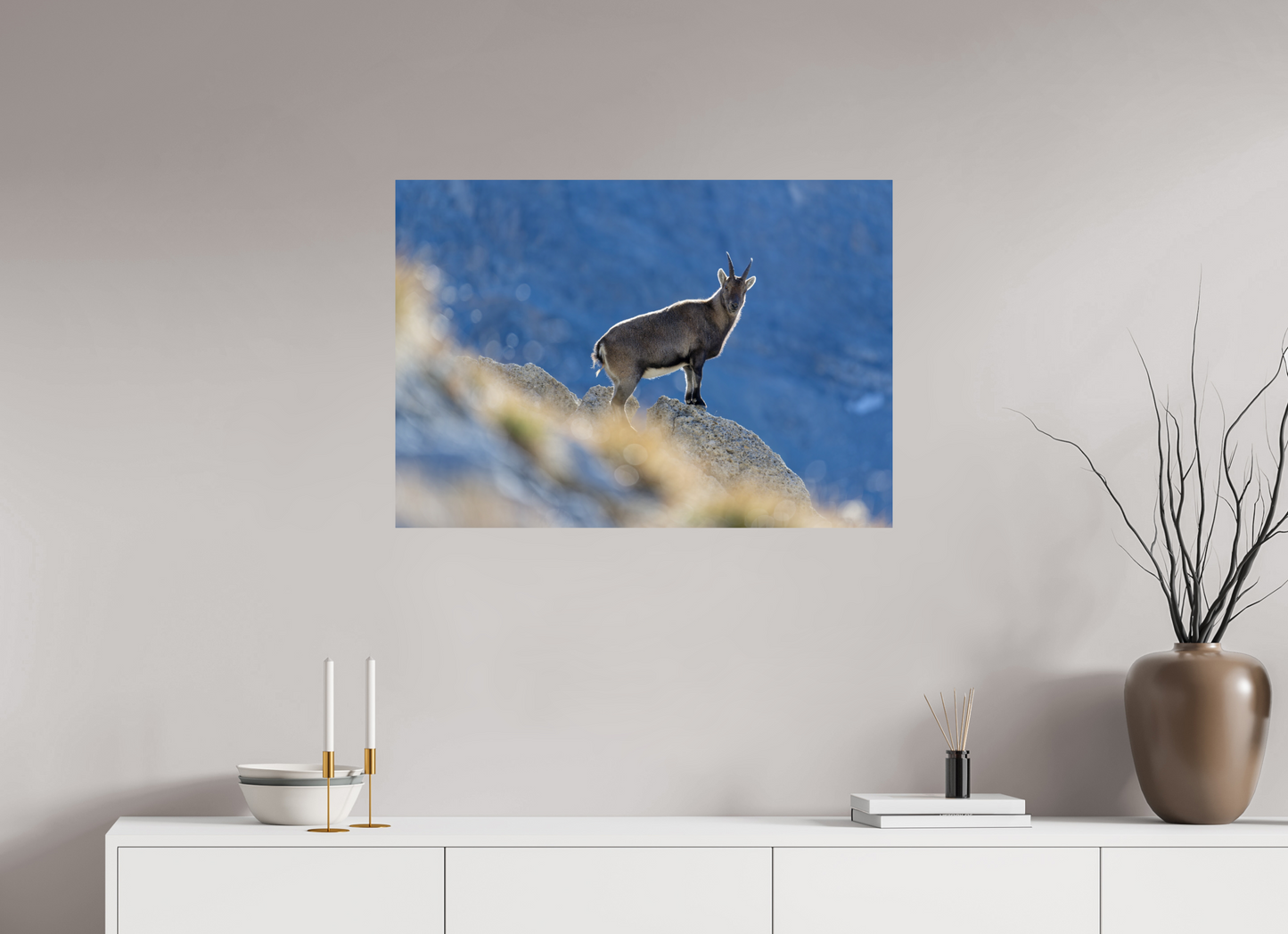Bouquetin / Ibex