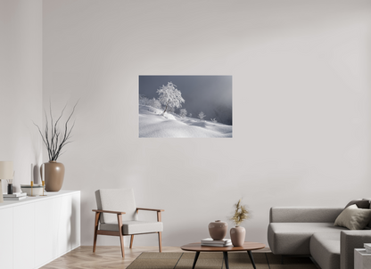 Hiver / Winter