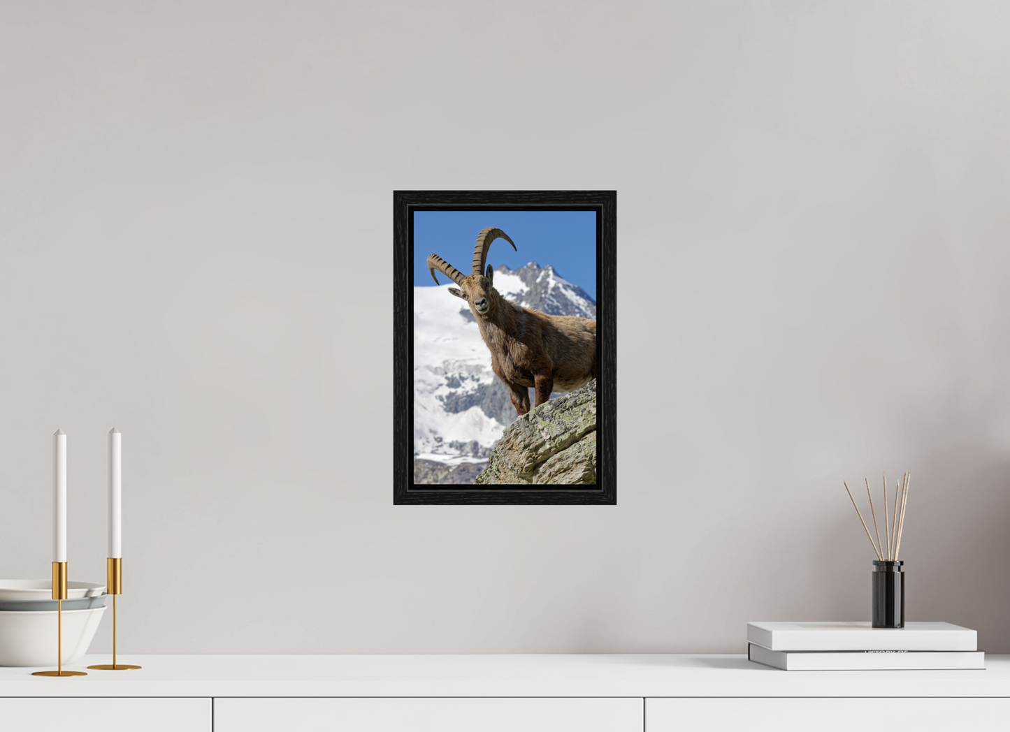 Bouquetin / Ibex
