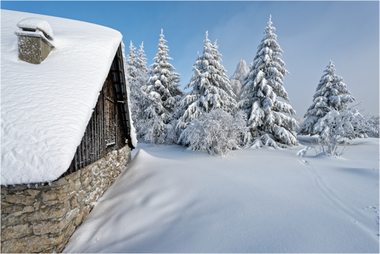 Hiver / Winter