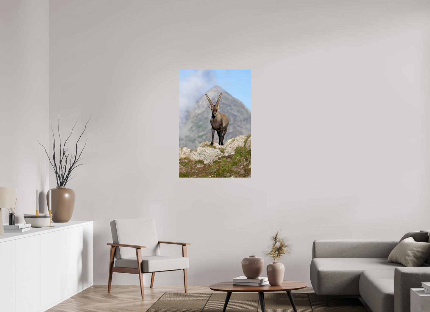 Bouquetin / Ibex