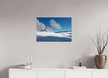Hiver / Winter