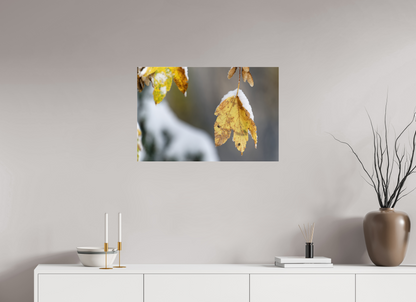 Automne / Autumn