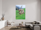 Bouquetin / Ibex