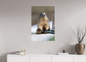 Marmotte / Groundhog