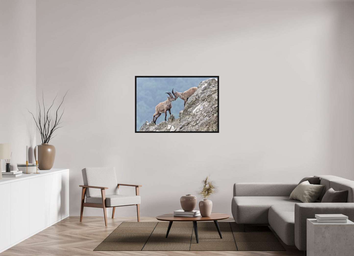 Bouquetin / Ibex