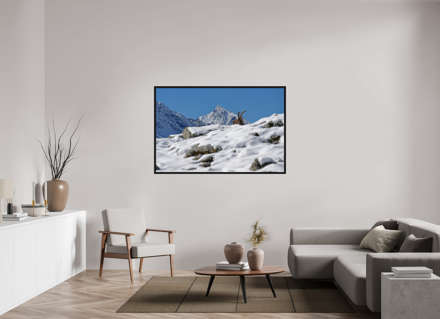 Bouquetin / Ibex
