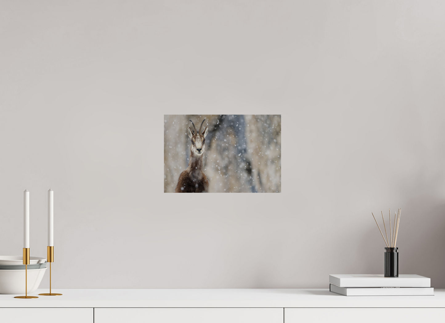 Chamois