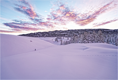 Hiver / Winter