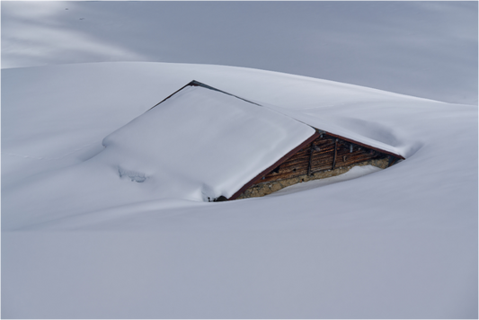 Hiver / Winter