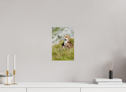 Autres animaux / Other animals