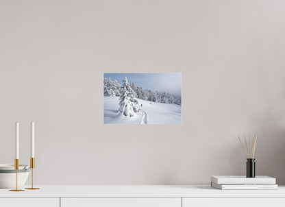 Hiver / Winter