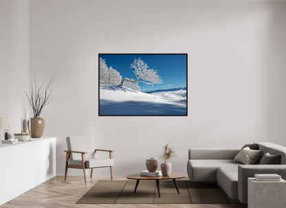 Hiver / Winter