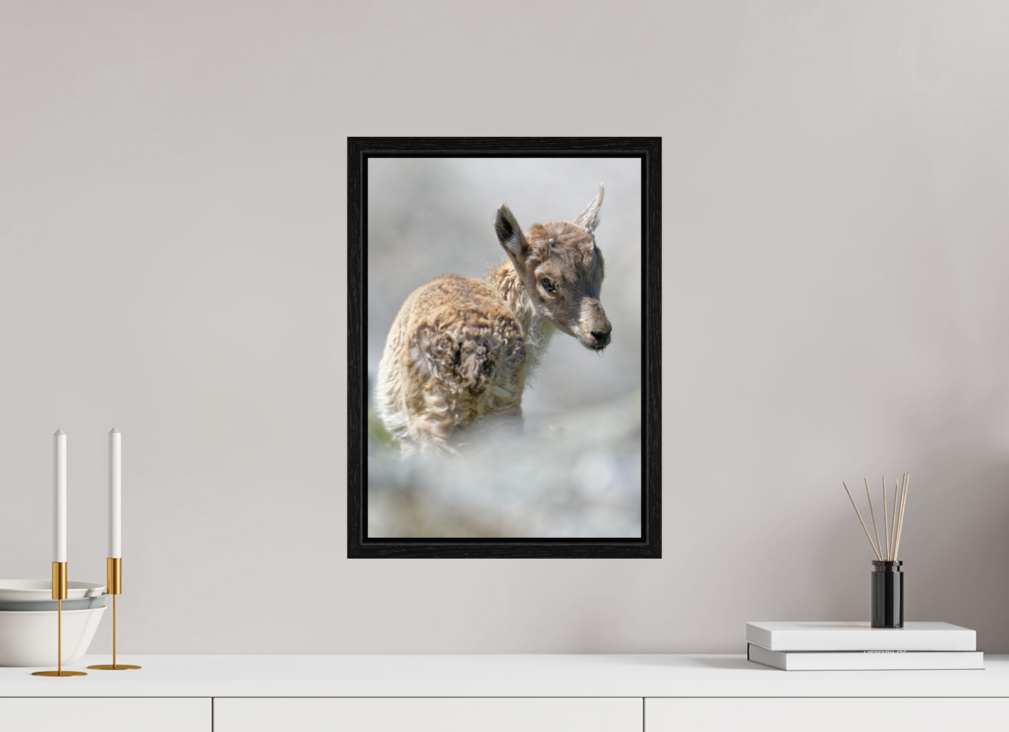 Bouquetin / Ibex