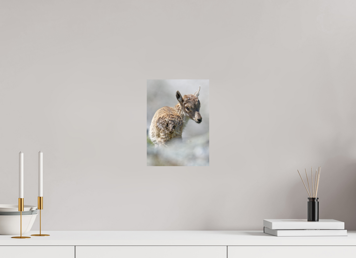 Bouquetin / Ibex