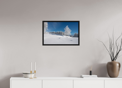 Hiver / Winter