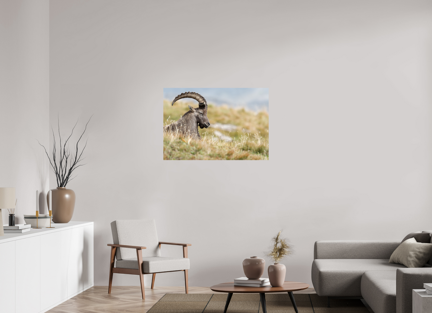 Bouquetin / Ibex