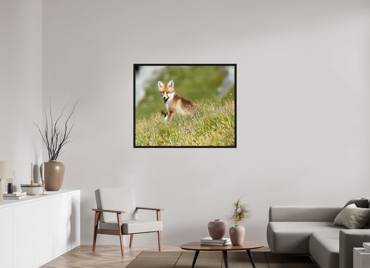 Autres animaux / Other animals
