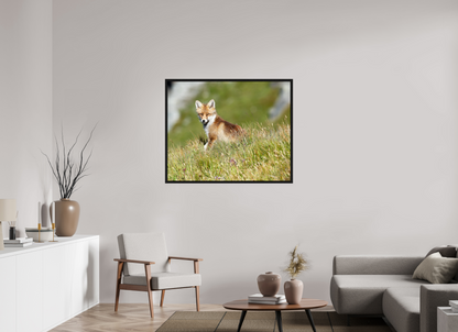 Autres animaux / Other animals