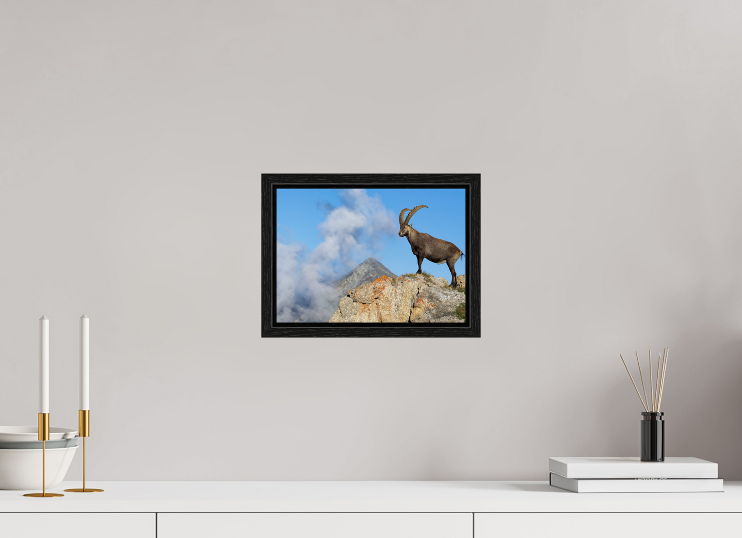 Bouquetin / Ibex