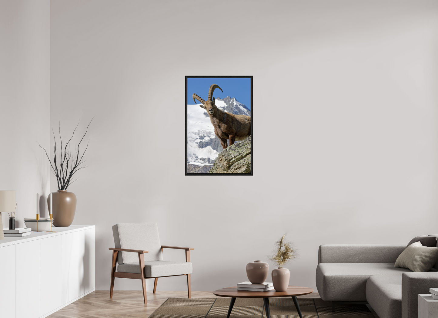 Bouquetin / Ibex
