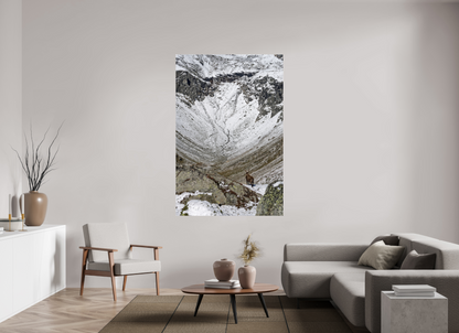 Bouquetin / Ibex