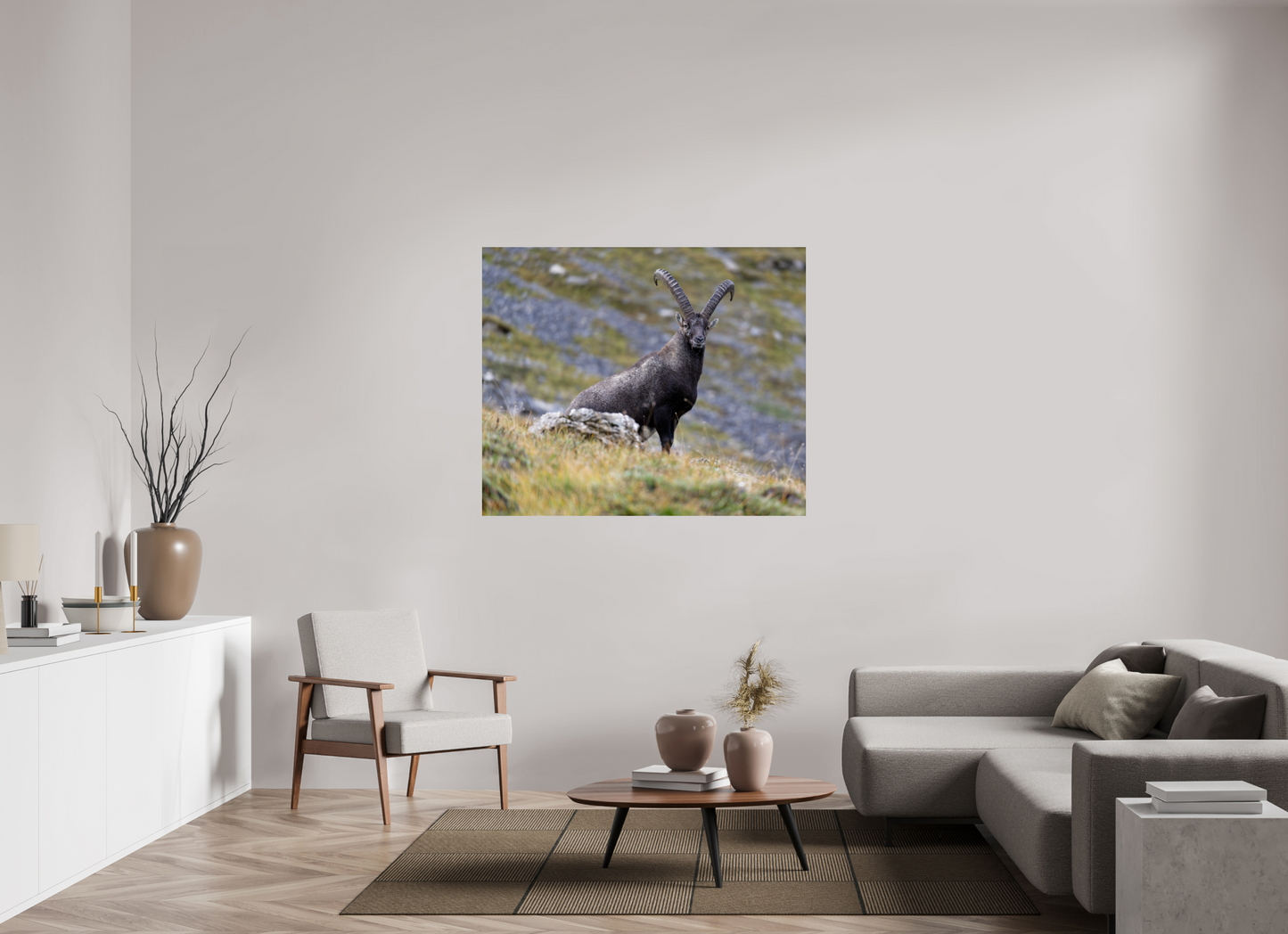 Bouquetin / Ibex