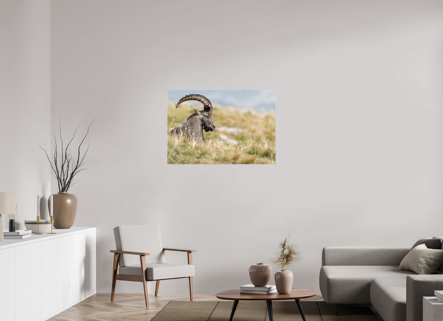 Bouquetin / Ibex