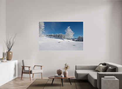 Hiver / Winter