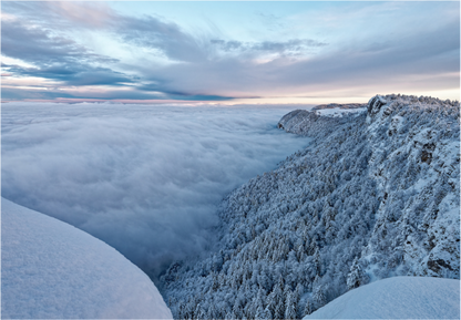 Hiver / Winter