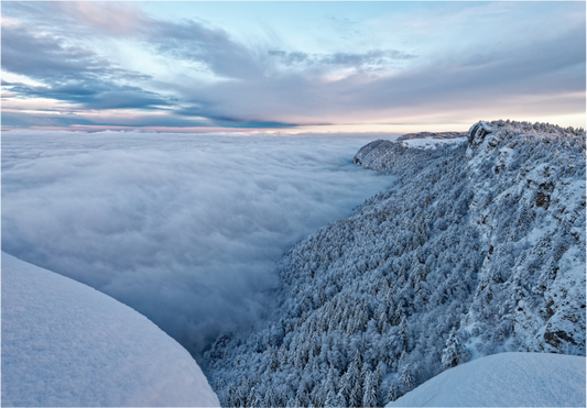 Hiver / Winter