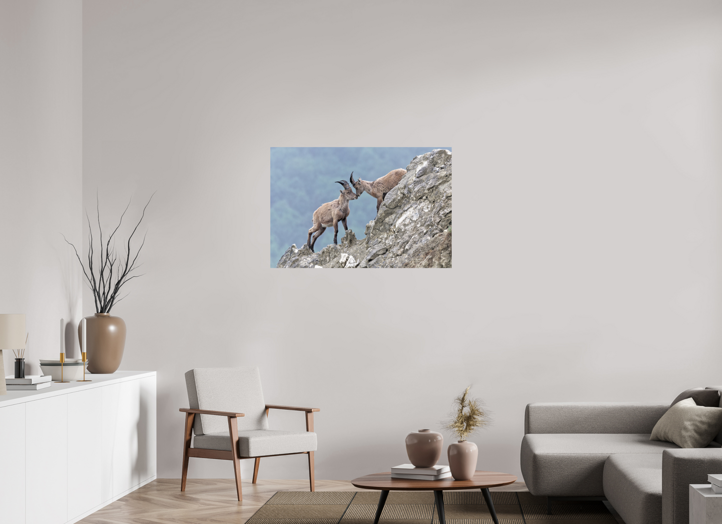 Bouquetin / Ibex
