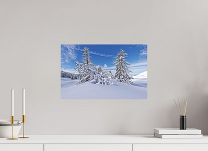 Hiver / Winter