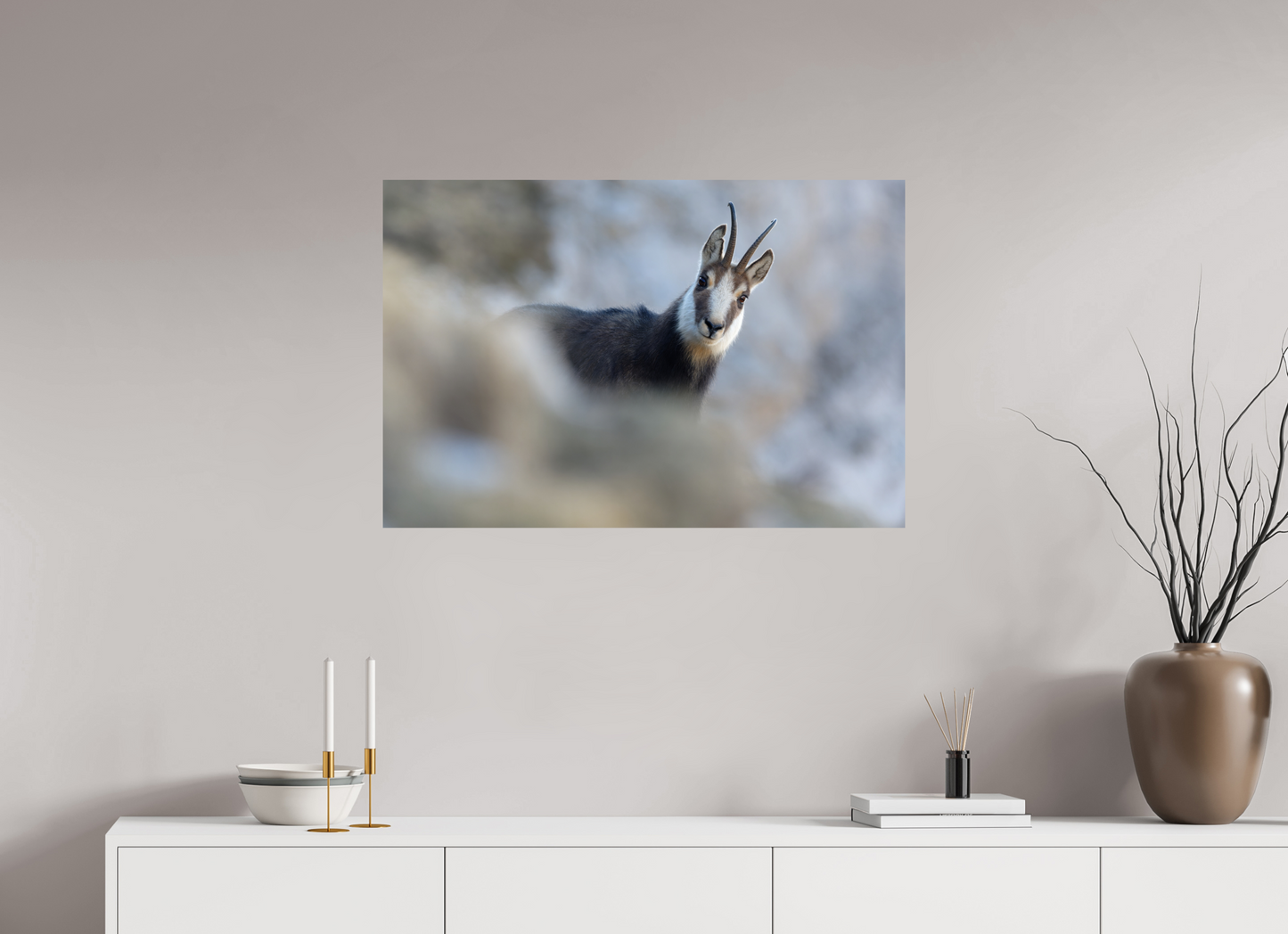 Chamois