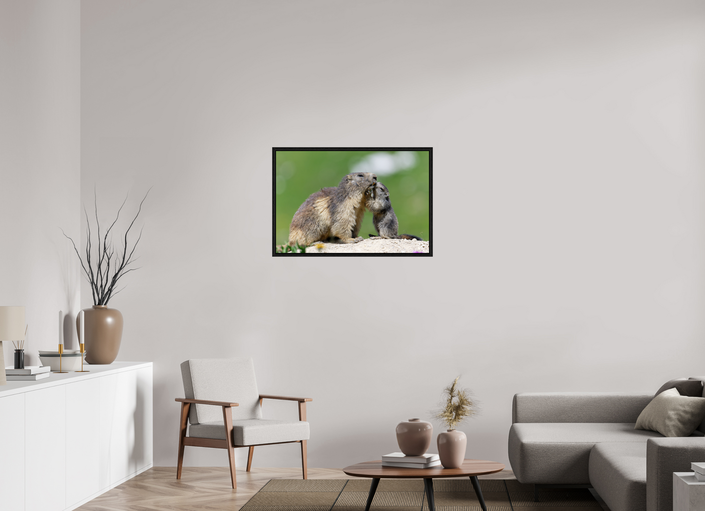 Marmotte / Groundhog