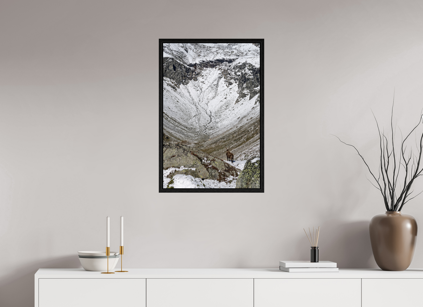 Bouquetin / Ibex