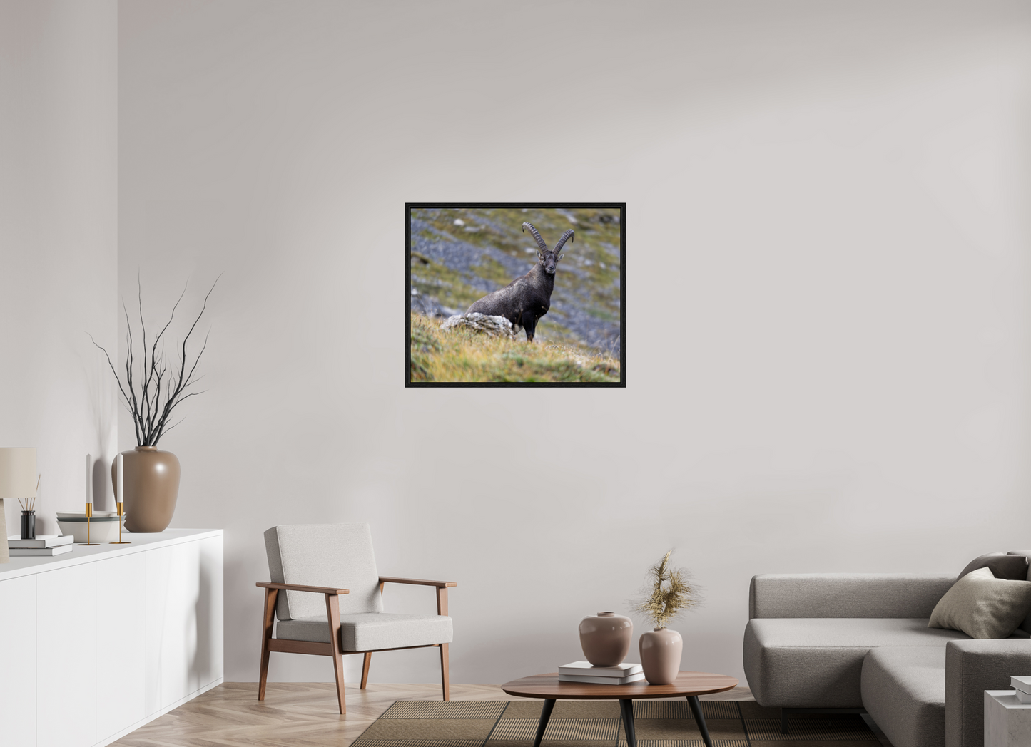 Bouquetin / Ibex