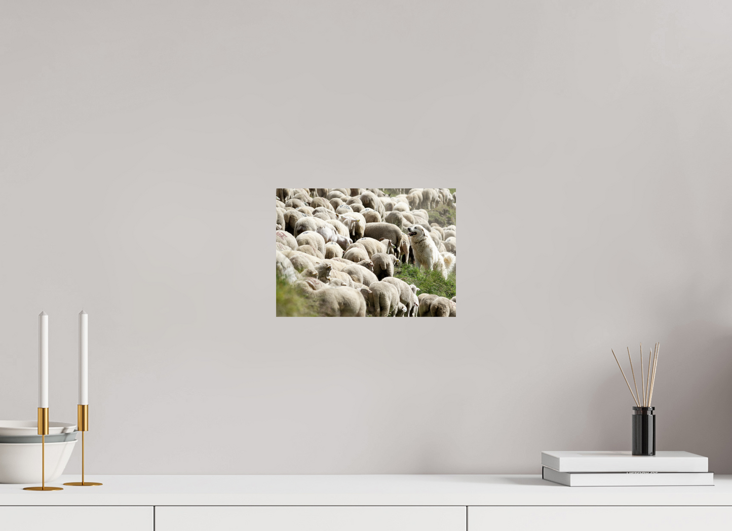 Autres animaux / Other animals