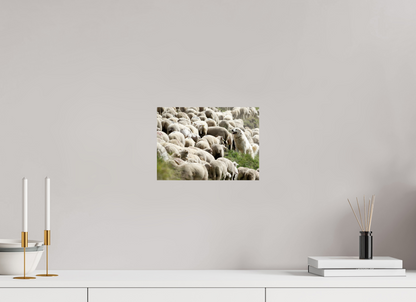 Autres animaux / Other animals