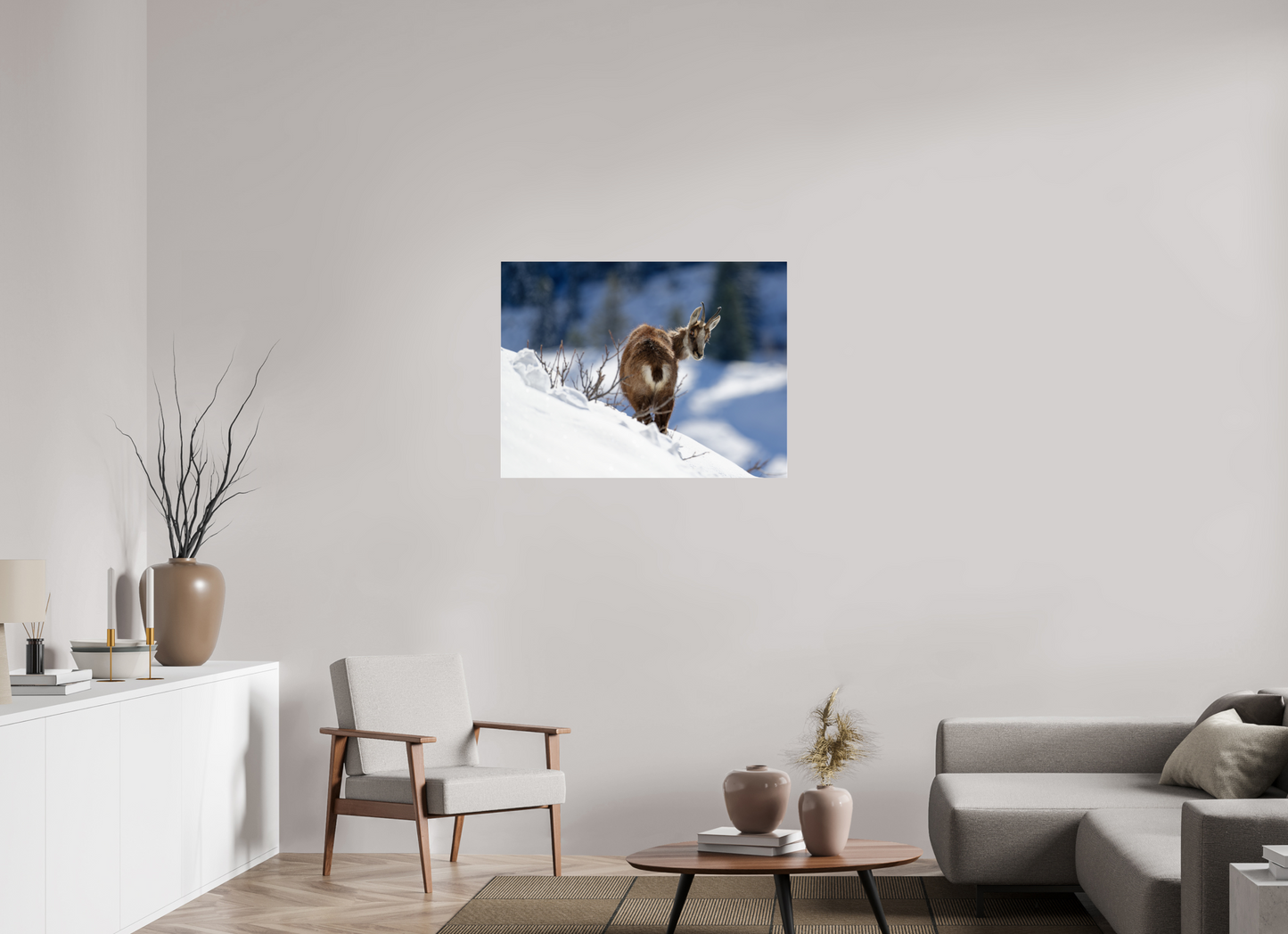 Chamois