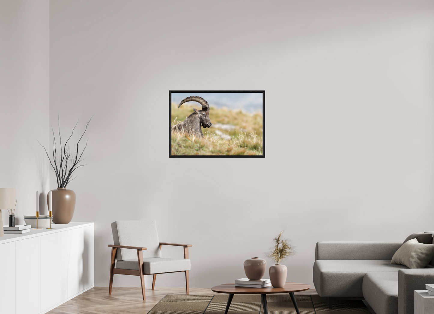 Bouquetin / Ibex